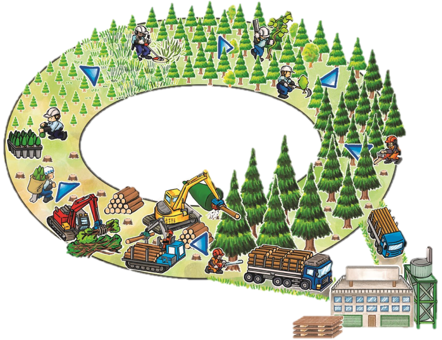 滋賀県森林組合の沿革