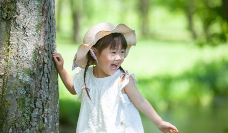 森林組合の仕事